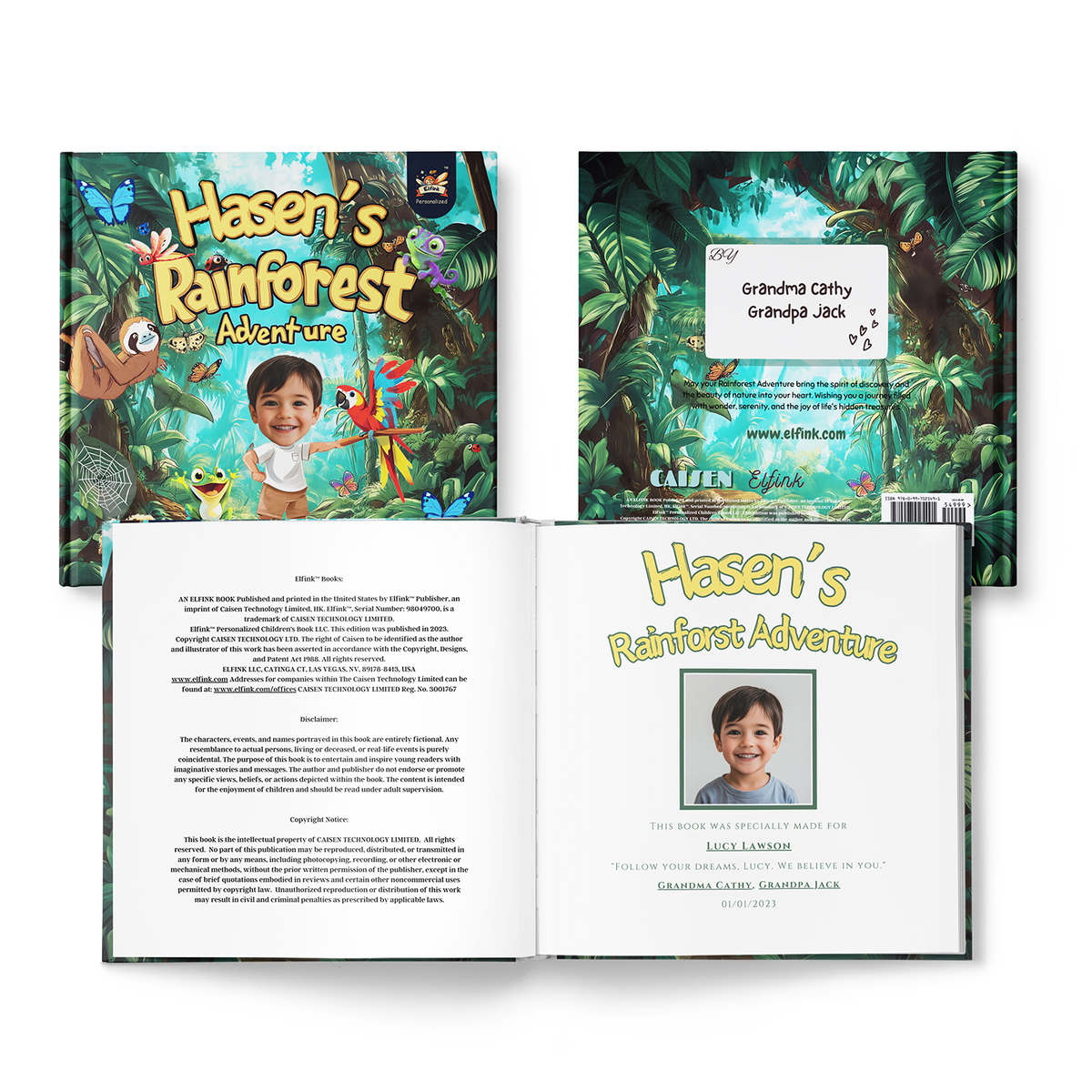 Rainforest Adventure